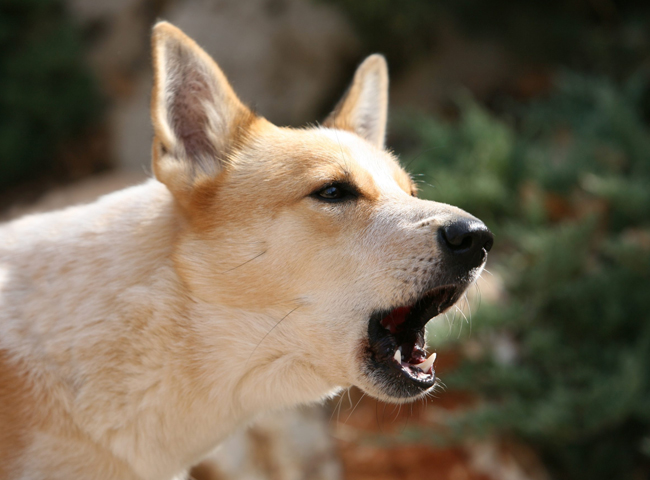 Xác định nguyên nhân và giải quyết tận gốc