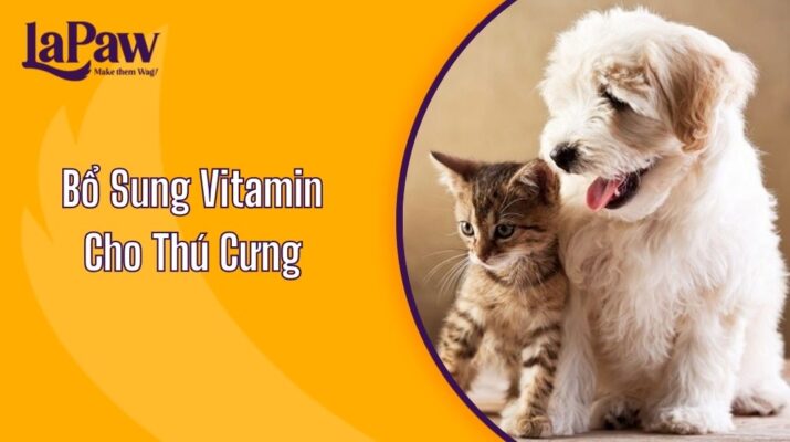 Bổ Sung Vitamin Cho Thú Cưng