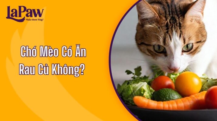 Chó Mèo Có Ăn Rau Củ Không?