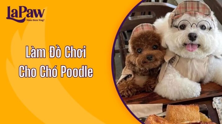 Đồ Chơi Cho Chó Poodle