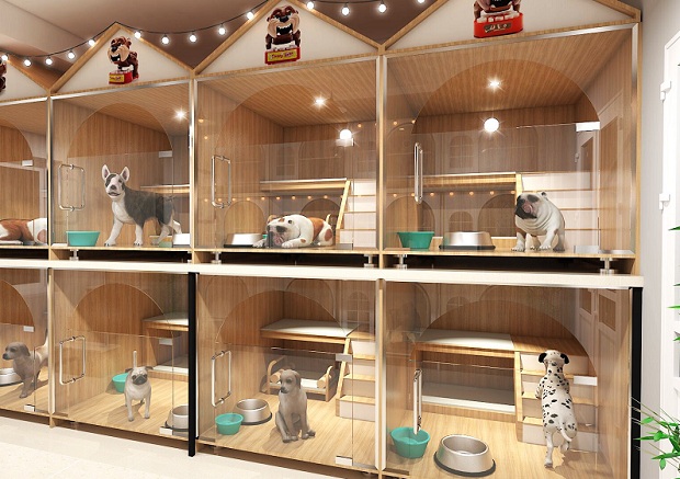 Khách sạn chó mèo giá rẻ là gì?