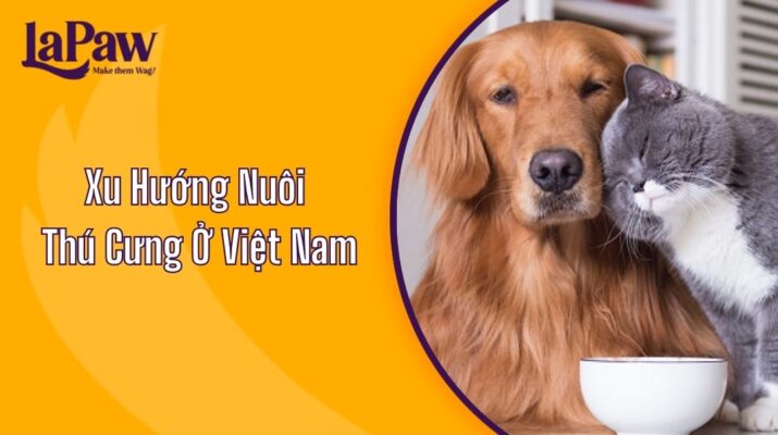 Xu Hướng Nuôi Thú Cưng Ở Việt Nam