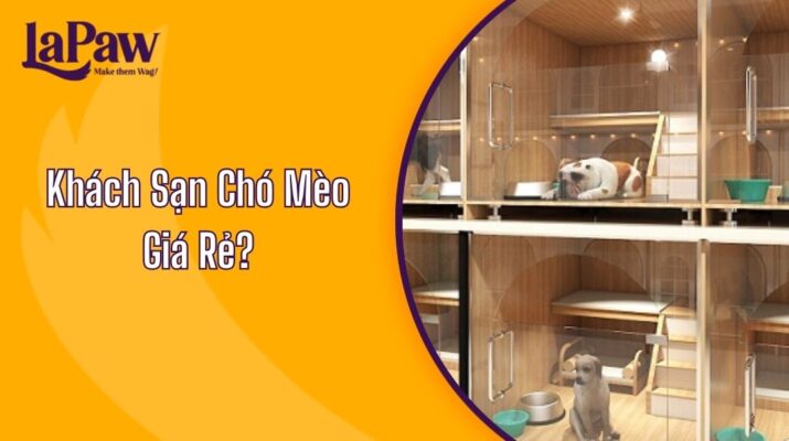 Khách Sạn Chó Mèo Giá Rẻ?