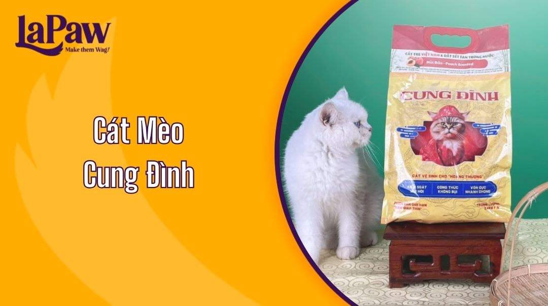cát mèo Cung Đình