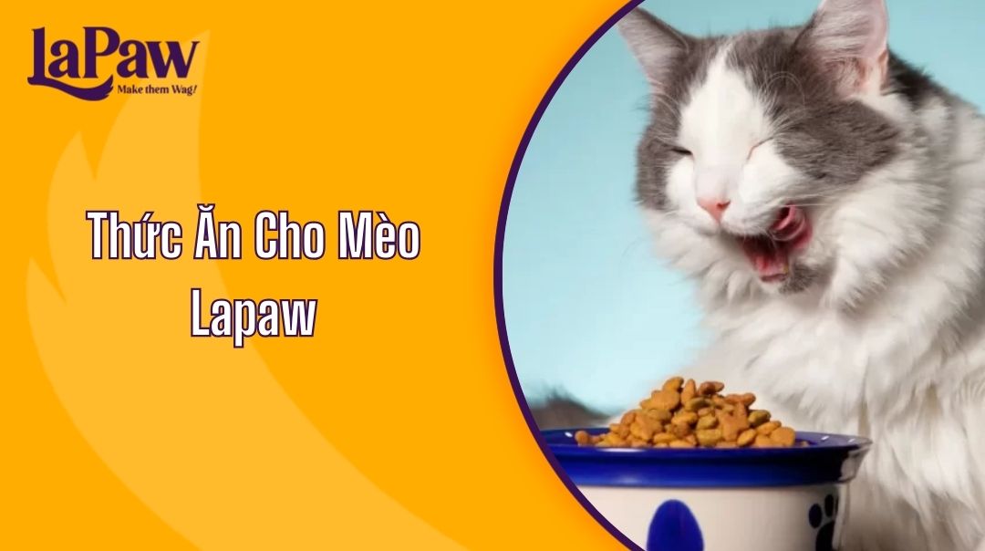 Thức Ăn Cho Mèo Lapaw
