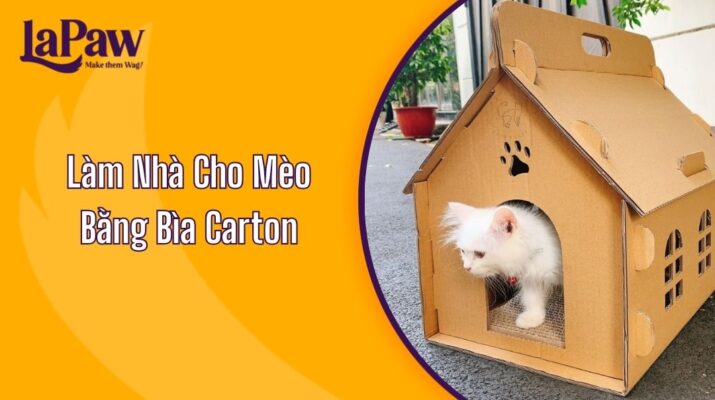 Làm Nhà Cho Mèo Bằng Bìa Carton