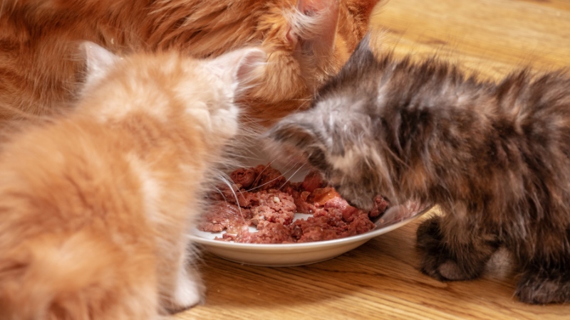 Những rủi ro khi trộn sai cách