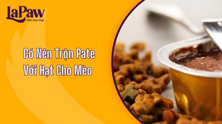 Có Nên Trộn Pate Với Hạt Cho Mèo Không?