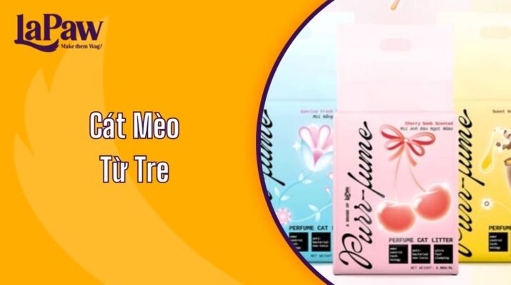 Cát Mèo Từ Tre