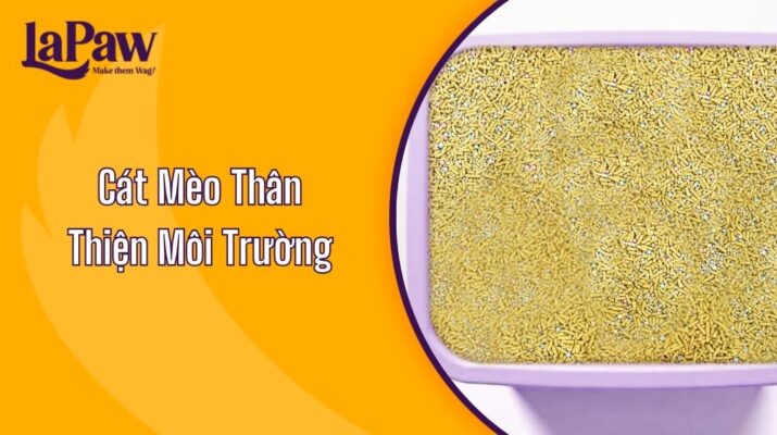 Cát Mèo Thân Thiện Môi Trường Cho Người Nuôi Mèo Hiện Đại