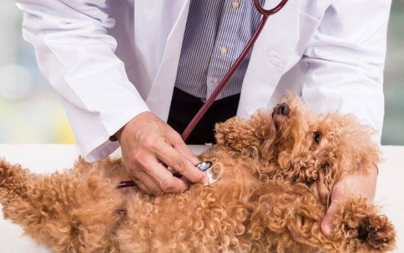 Phương pháp điều trị