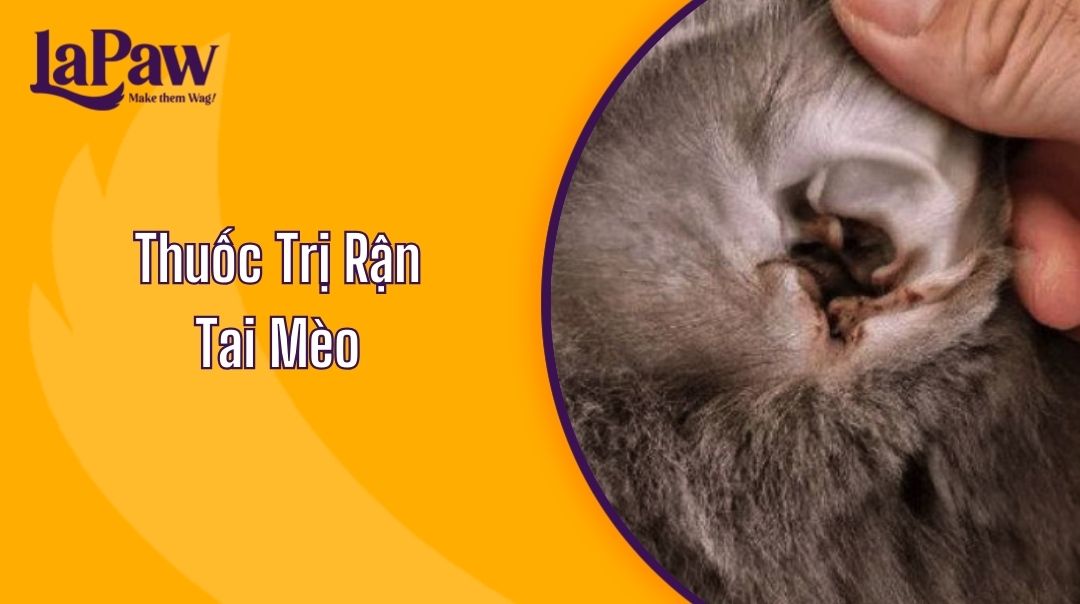 thuốc trị rận tai mèo