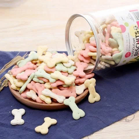 Cách chọn bánh thưởng phù hợp cho chó Poodle