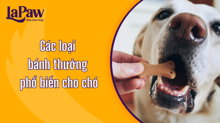 Bánh thưởng cho chó