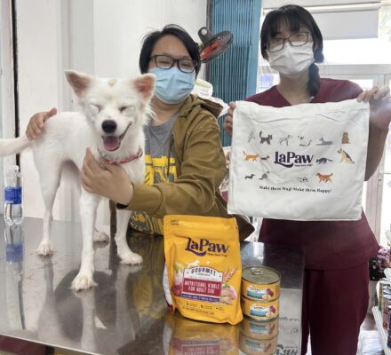 Khuôn mặt vui vẻ của cún yêu khi được nhận nuôi 