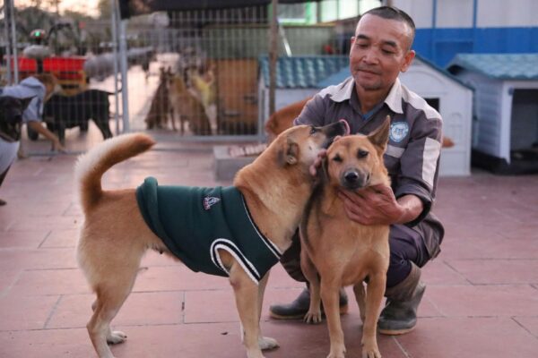 Trạm cứu hộ chó mèo Hà Nội - Sân Nhà Nhiều Chó