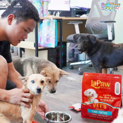 Lapaw ủng hộ trạm cứu hộ chó mèo SNNC